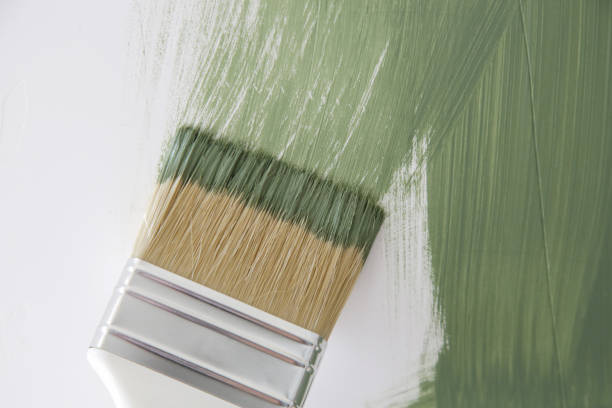Mold Remediation for Vacation Homes in Carencro, LA