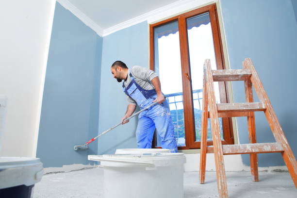 Professional Mold Removal in Carencro, LA