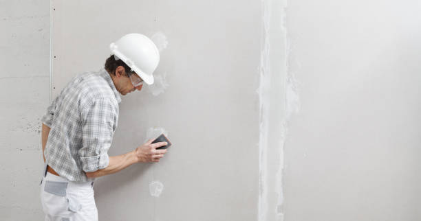 Best Attic Mold Removal  in Carencro, LA