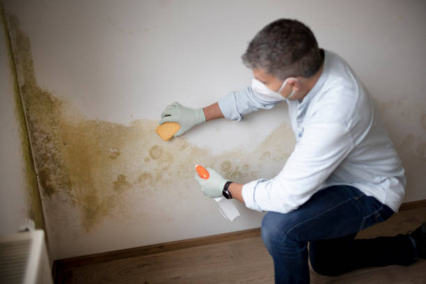 Best Dehumidification Services  in Carencro, LA