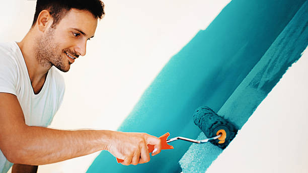 Best Mold Removal for HVAC Installations  in Carencro, LA